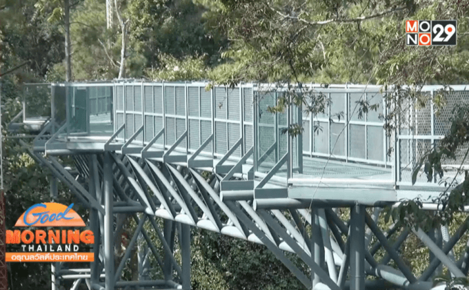 เปิดเส้นทางเดินชมธรรมชาติ “Canopy Walkway”