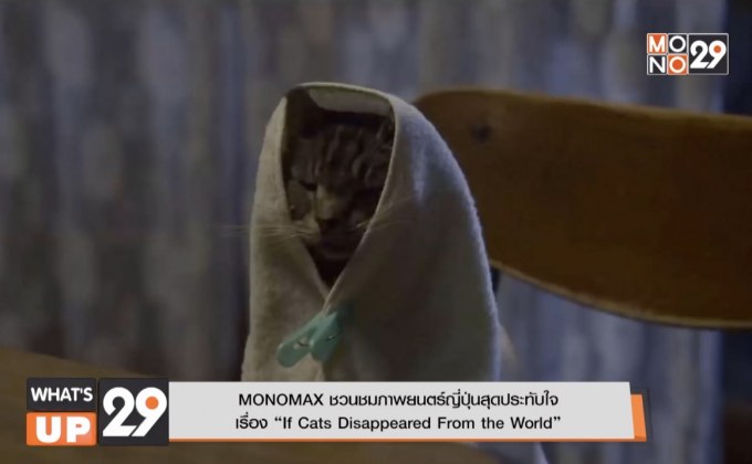 MONOMAX ชวนชมภาพยนตร์ญี่ปุ่นสุดประทับใจ เรื่อง “If Cats Disappeared From the World”