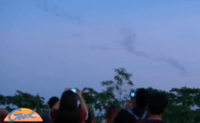 นักท่องเที่ยวแห่ชมฝูงค้างคาวนับพันที่จ.ขอนแก่น