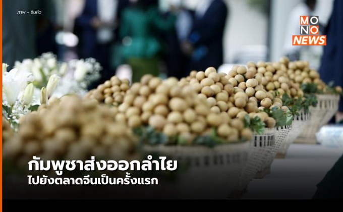 กัมพูชาส่งออก ‘ลำไย’ ป้อนตลาดจีนครั้งแรก