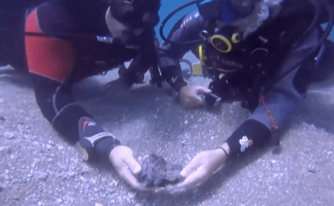 ค้นพบโบราณวัตถุยุคโรมันใต้ทะเลอิสราเอล