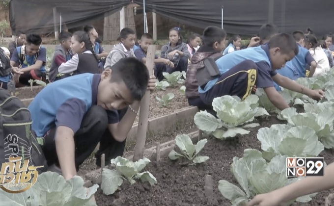 เปลี่ยนพื้นที่สีแดง สู่ความยั่งยืนด้วย “ศาสตร์พระราชา”