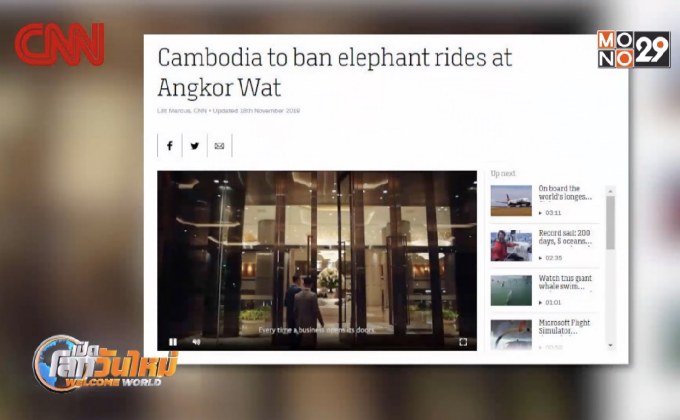 กัมพูชาแบนการขี่ช้าง