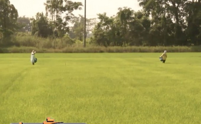 “กรณ์” เสนอ สนช. เลื่อนพิจารณา พ.ร.บ.ข้าว