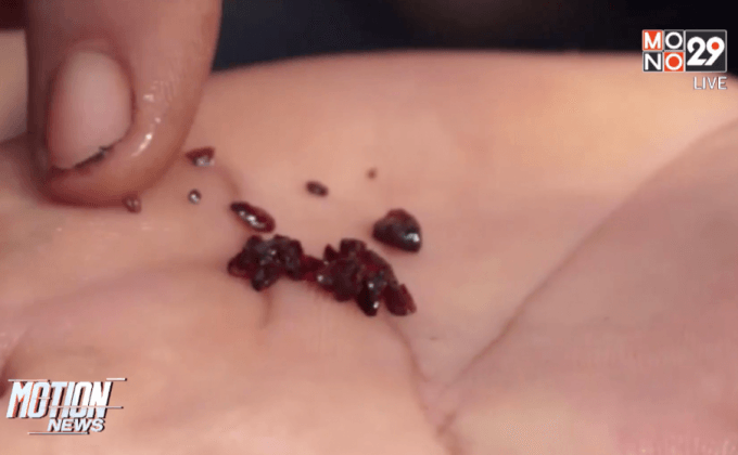 ฝนตกหนักชะพลอยลงมาจากภูเขา จ.ตราด