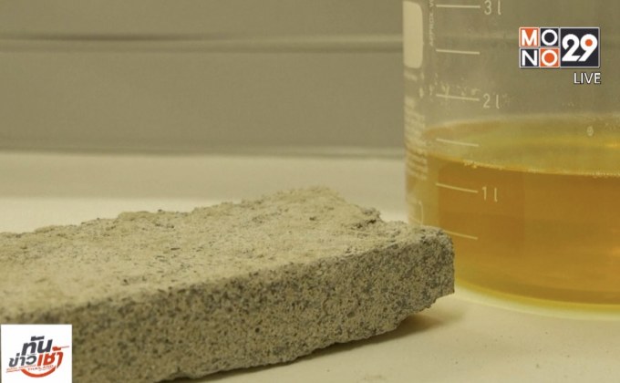 แอฟริกาใต้ผลิตอิฐจากปัสสาวะมนุษย์