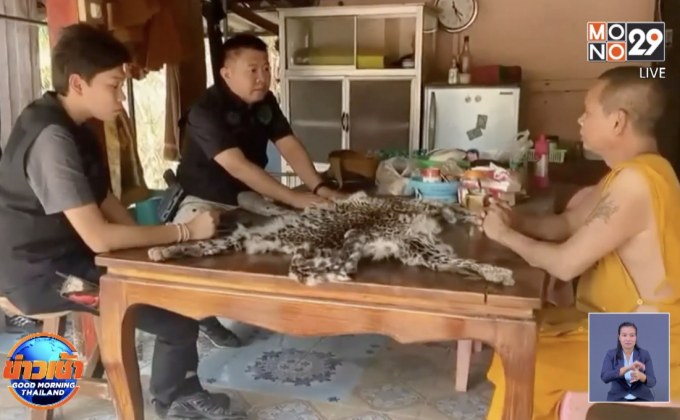 จับเจ้าอาวาส ลักลอบค้าซากสัตว์ป่า