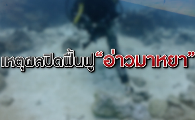 ​The Morning – เปิดแผน “มาหยาโมเดล” ชูการท่องเที่ยวเชิงอนุรักษ์