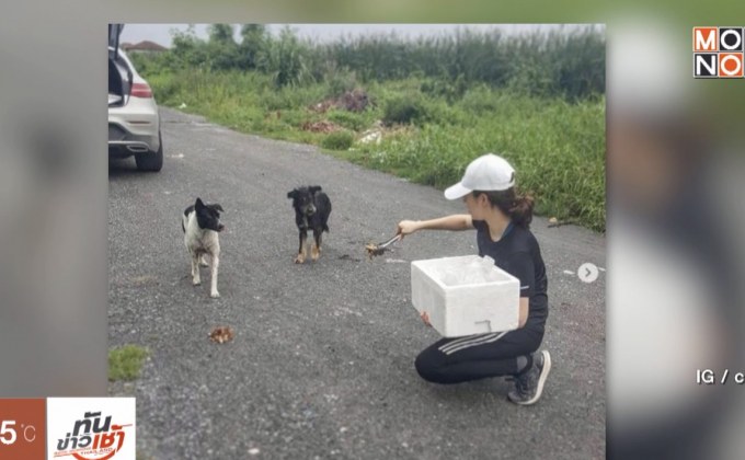 “เชียร์” ถ่อมตัวหลังได้ฉายา “นางฟ้าของน้องหมาจรจัด” 