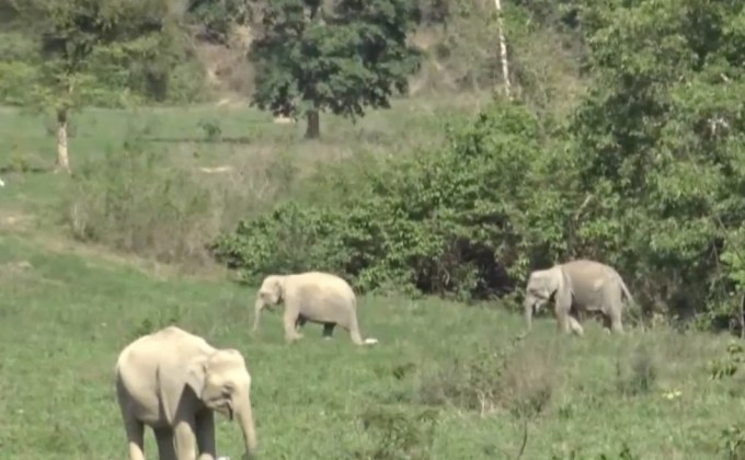 เปิดภาพป่ากุยบุรี หลังปิดนานกว่า 1 เดือน