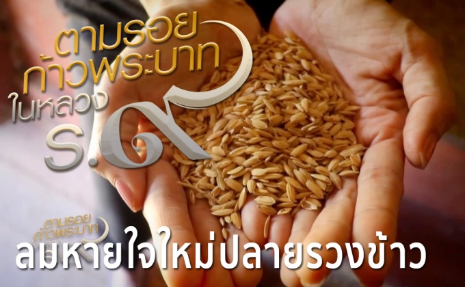 สารคดีเทิดพระเกียรติฯ ชุดตามรอยก้าวพระบาท ตอนที่ 5 “ลมหายใจใหม่ปลายรวงข้าว”