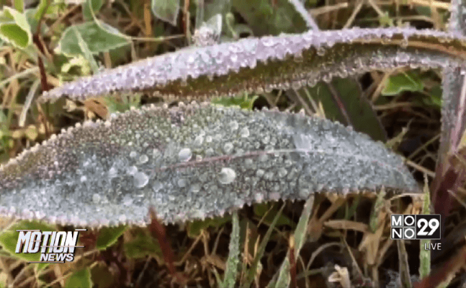 แห่ชมน้ำค้างแข็งแรกของปีบนดอยอินทนนท์