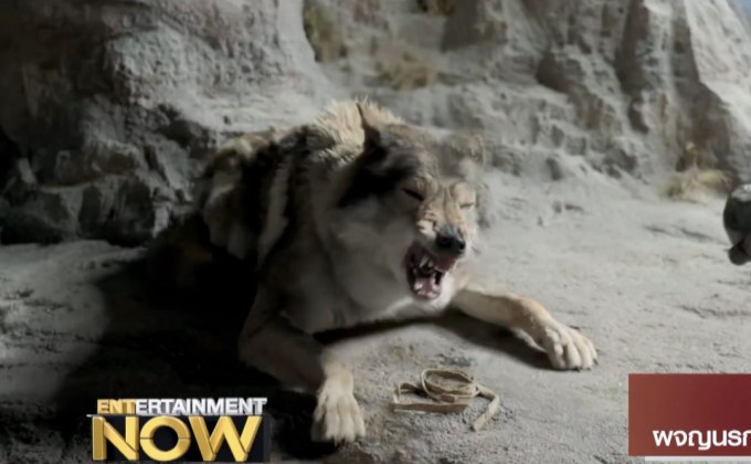 Movie Review : Alpha