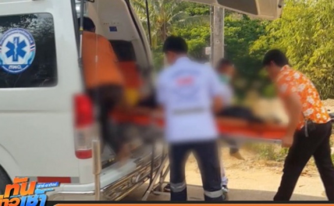 ช้างป่าทำร้ายเจ้าหน้าที่ UNHCR เสียชีวิต