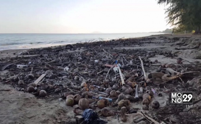 ขยะชายหาดบ้านกรูดเริ่มเน่าเหม็น จ.ประจวบคีรีขันธ์