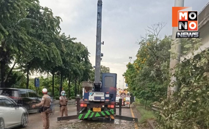 พายุฝนถล่มกรุงเทพฯ ต้นไม้ล้ม บ้านพัง จราจรอัมพาตหลายจุด