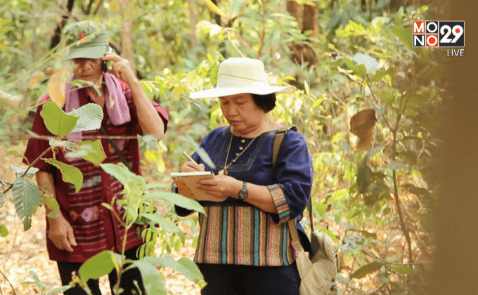 Big HERO คนดีบ้านฉัน : อ.ทัศณี รัตนรามาHERO ผู้พัฒนาการแพทย์แผนไทยเพื่อชุมชน ตอนที่ 1/5