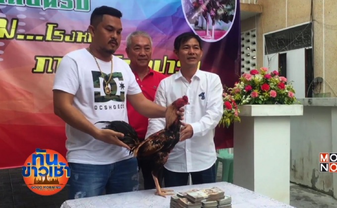 ฮือฮา! หนุ่มโรงหมี่ หอบเงินล้านซื้อไก่ชนเมืองจันท์  