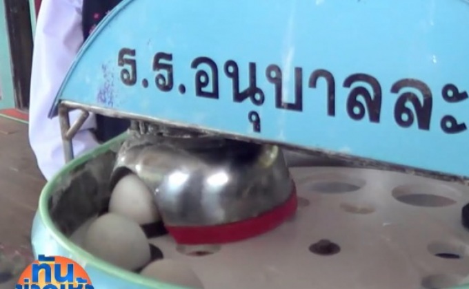 ทึ่ง!! เครื่องตัดไข่ครอบ… คว้ารางวัลเหรียญทองสิ่งประดิษฐ์