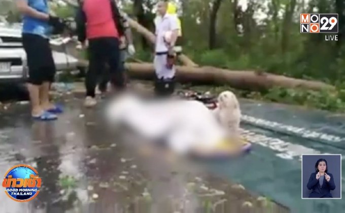 ภาพสุดเศร้า! สุนัขนั่งเฝ้าร่างไร้วิญญาณของเจ้านาย ไม่ห่าง แม้ตัวเองจะบาดเจ็บ