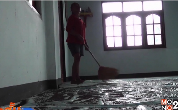 ฝูงแมลงปีกแข็งบุกบ้านใน จ.เพชรบูรณ์