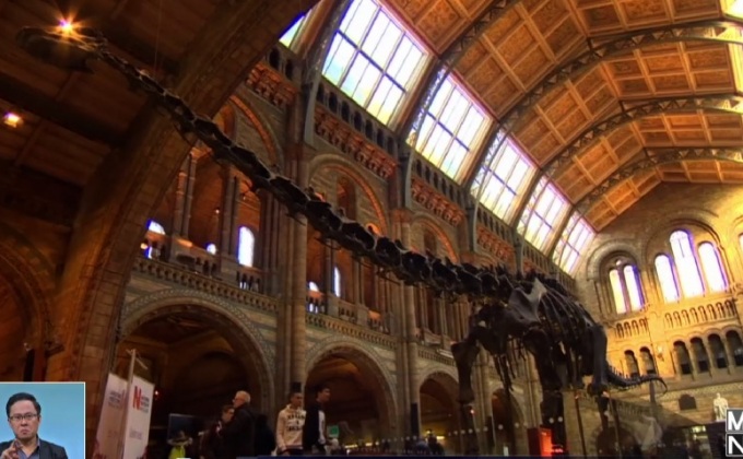 พิพิธภัณฑ์ในอังกฤษเริ่มรื้อกระดูกไดโนเสาร์ยักษ์