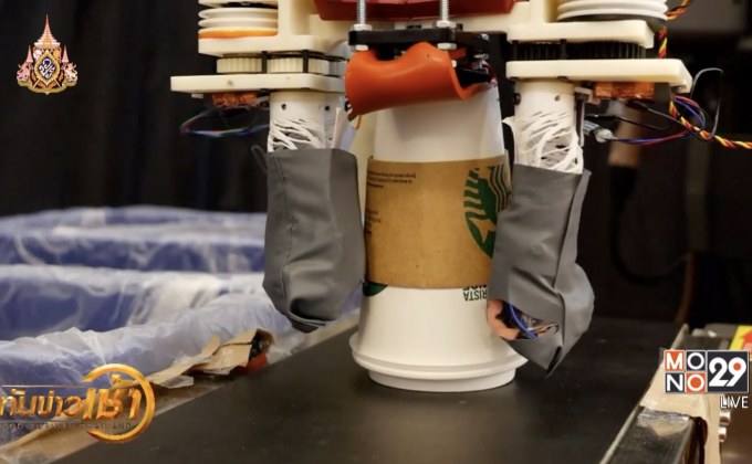 ​หุ่นยนต์แยกประเภทขยะรีไซเคิล