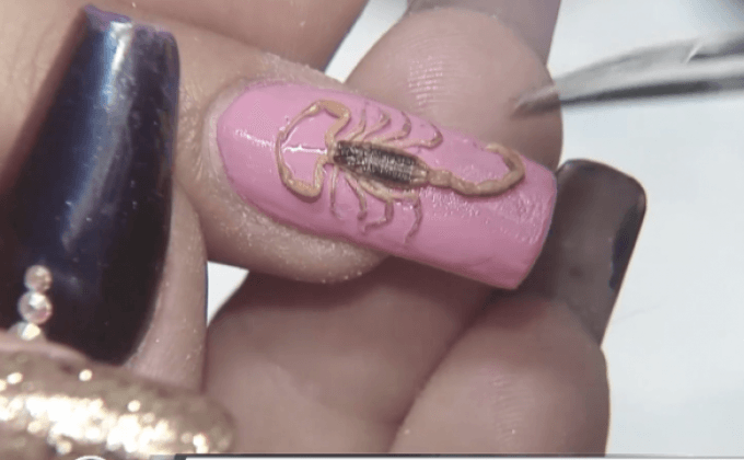 ตกแต่งเล็บด้วยแมงป่องในเม็กซิโก