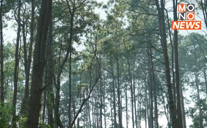 สัปดาห์หน้ามีหนาว เหนือ-อีสาน ส่วนกทม.ฝนตก