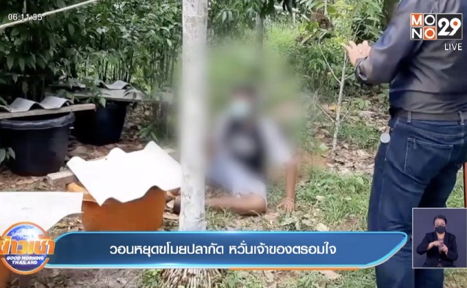 วอนหยุดขโมยปลากัด หวั่นเจ้าของตรอมใจ