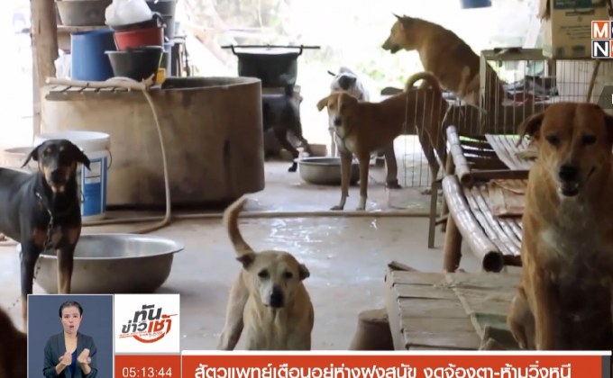 สัตวแพทย์เตือนอยู่ห่างฝูงสุนัข งดจ้องตา-ห้ามวิ่งหนี