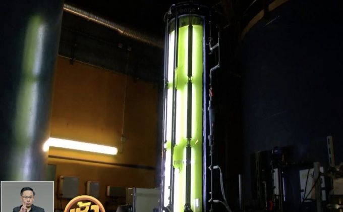 ฝรั่งเศสใช้สาหร่ายบำบัดมลพิษทางอากาศในปารีส