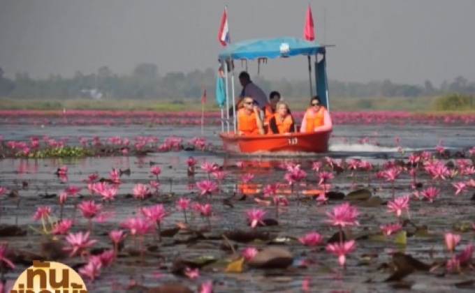 แห่สัมผัสอากาศหนาว ตามแหล่งท่องเที่ยวทางธรรมชาติ