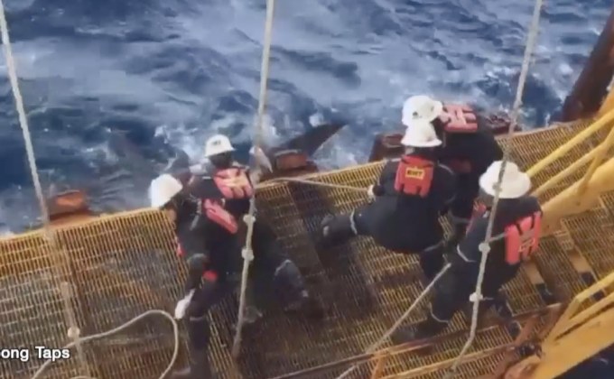 โซเชียลแชร์คลิปช่วย “ฉลามวาฬ” โดนเชือกรัดหาง