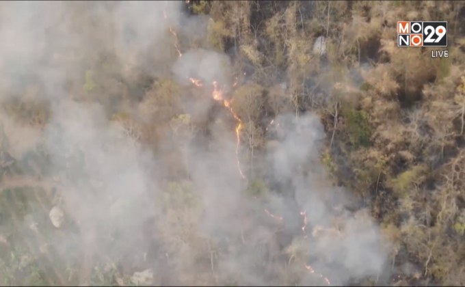ไฟไหม้ป่าภูสะนาว จ.เลย เสียหาย 500 ไร่