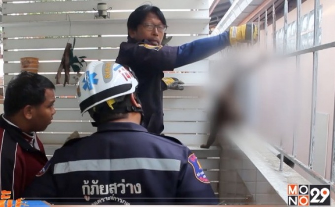 ช่วยเหลือแมวถูกรั้วเหล็กเสียบทะลุขา