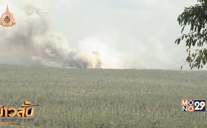 ไฟไหม้ป่าพรุควนเคร็ง จ.นครศรีธรรมราช 