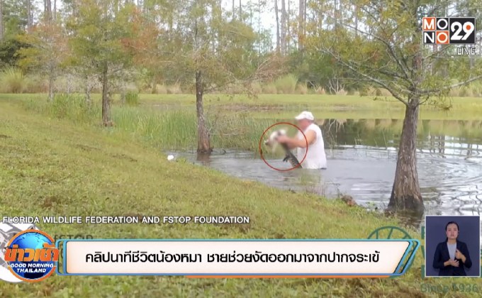 คลิปนาทีชีวิตน้องหมา ชายช่วยงัดออกมาจากปากจระเข้