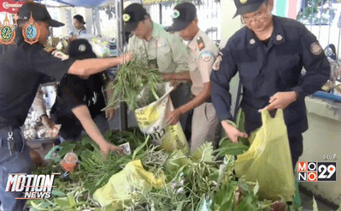 จับกุมขายกล้วยไม้ป่าตลาดชายแดน