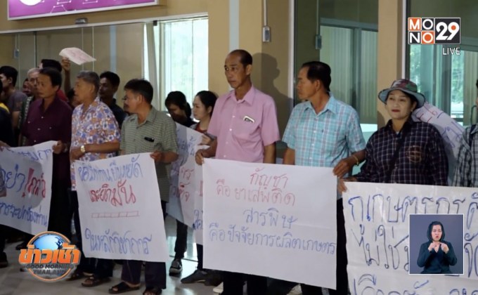 เปิดเหตุผลเกษตรกรค้านแบน 3 สารเคมี