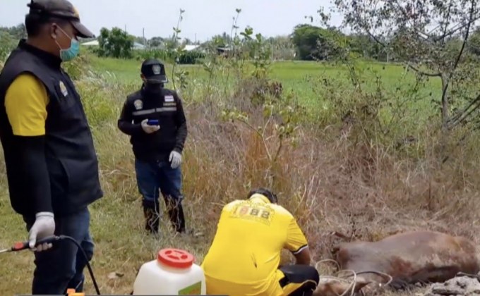 “เพชรบุรี” ม้าตายเพิ่มสั่งคุมเข้มทั้งจังหวัด