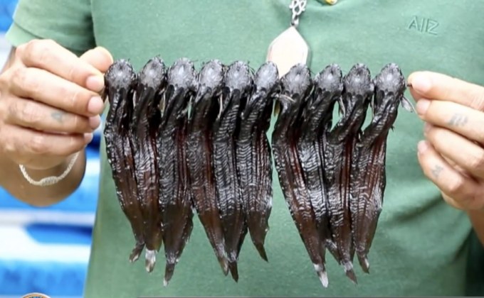 เลี้ยงปลาเม็งส่งขาย สร้างรายได้นับแสนบาทต่อปี