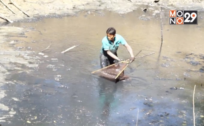 สูบน้ำเข้านาจับปลาขายสร้างรายได้หน้าแล้ง