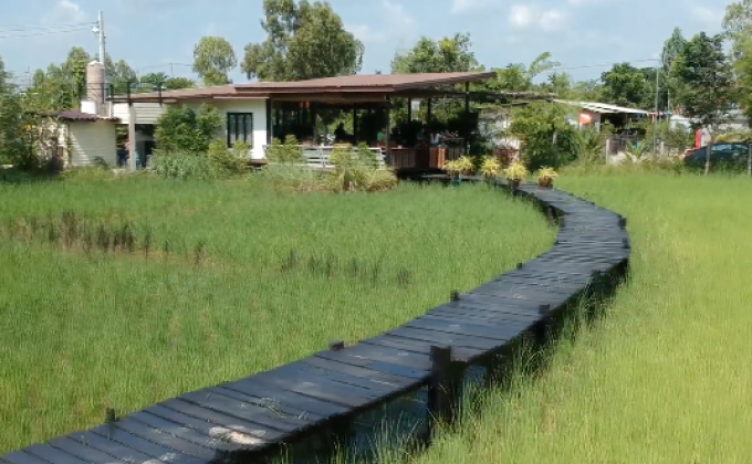 ร้านกาแฟอินทรีย์กลางทุ่งนา