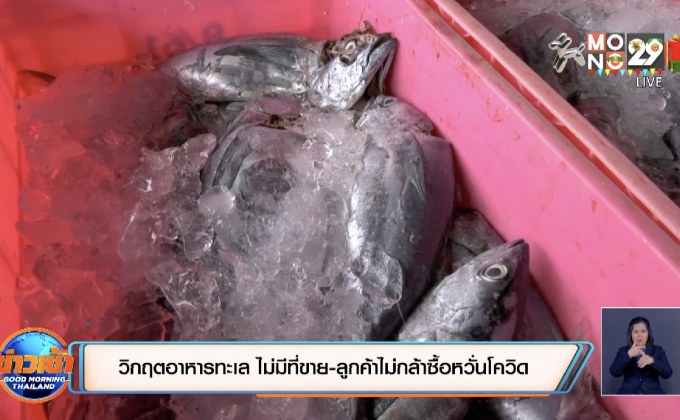 วิกฤตอาหารทะเล ไม่มีที่ขาย-ลูกค้าไม่กล้าซื้อหวั่นโควิด