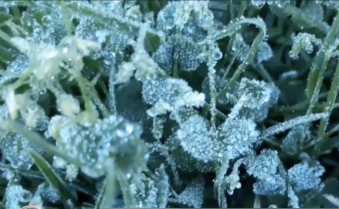 นักท่องเที่ยวแห่ชมเหมยขาบแรกบนยอดดอยอินทนนท์