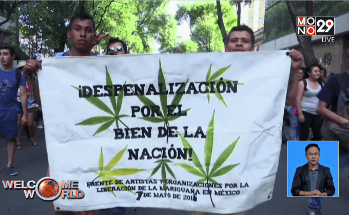 ประท้วงขอเพิ่มการใช้กัญชาในเม็กซิโก