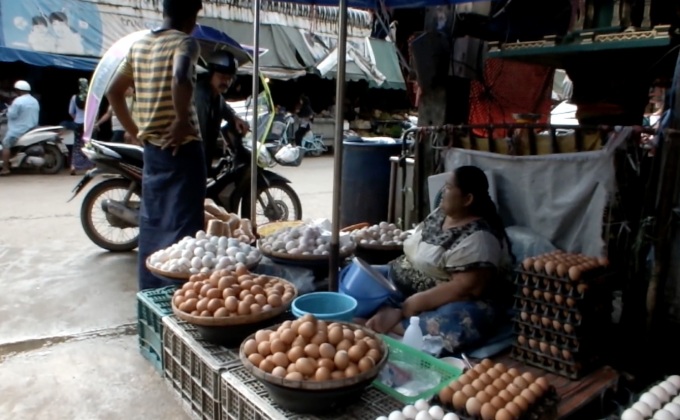 ชาวเมียนมาแห่ซื้อไข่ไก่ไทยหลังไข้หวัดนกระบาด