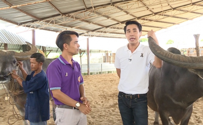 เจษฎาพาลุย : ขี่เจ้าทุยที่บ้านอนุรักษ์ควายไทย