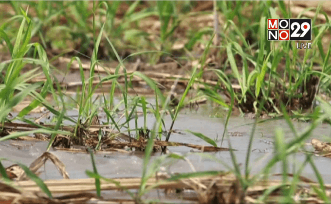 สถานการณ์ภัยแล้งทั่วประเทศ